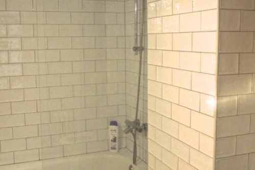 Master bathroom shower and tub